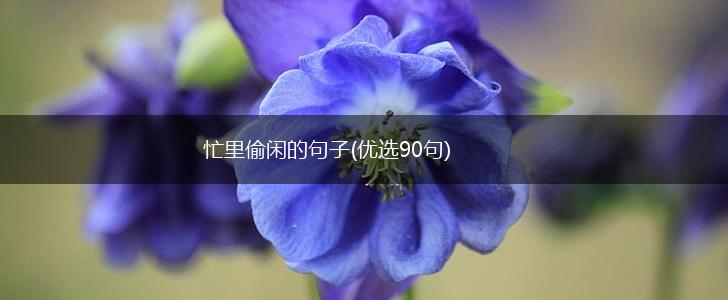 忙里偷闲的句子(优选90句),第1张