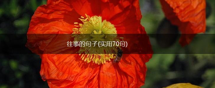 往事的句子(实用70句),第1张