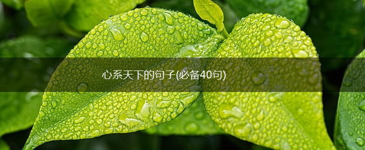心系天下的句子(必备40句),第1张