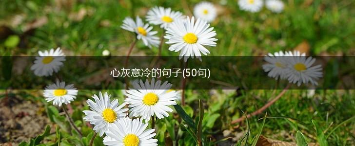 心灰意冷的句子(50句),第1张