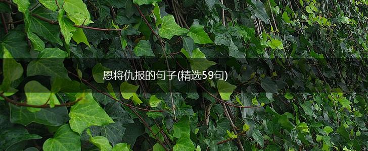 恩将仇报的句子(精选59句),第1张