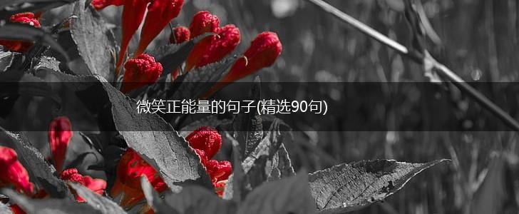 微笑正能量的句子(精选90句),第1张