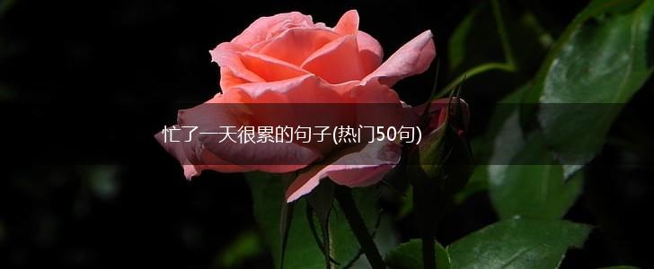 忙了一天很累的句子(热门50句),第1张