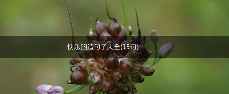 快乐的造句子大全(15句),第1张