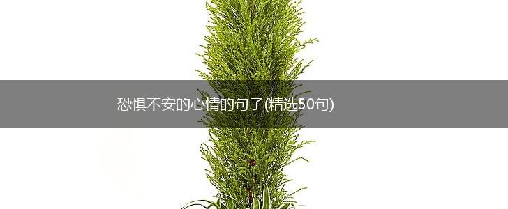 恐惧不安的心情的句子(精选50句),第1张