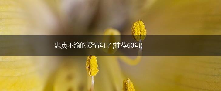 忠贞不渝的爱情句子(推荐60句),第1张