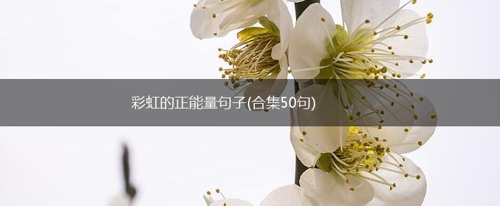 彩虹的正能量句子(合集50句),第1张