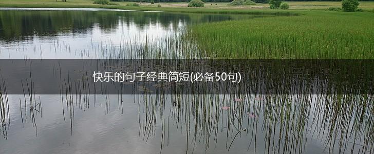 快乐的句子经典简短(必备50句),第1张