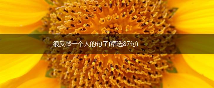 很反感一个人的句子(精选87句),第1张 很反感一个人的句子(精选87句),第1张