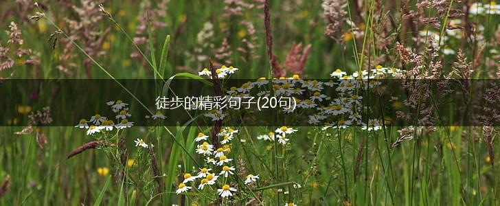 徒步的精彩句子(20句),第1张