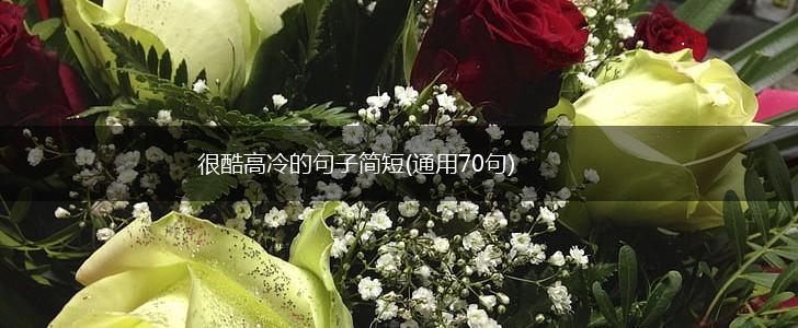 很酷高冷的句子简短(通用70句),第1张