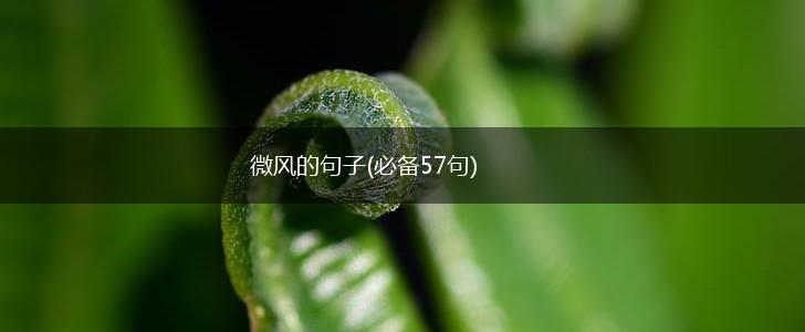 微风的句子(必备57句),第1张