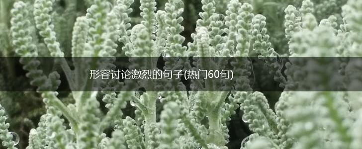 形容讨论激烈的句子(热门60句),第1张