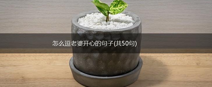 怎么逗老婆开心的句子(共50句),第1张