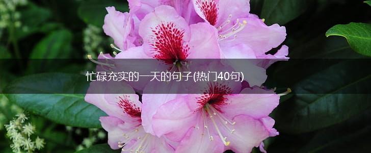 忙碌充实的一天的句子(热门40句),第1张