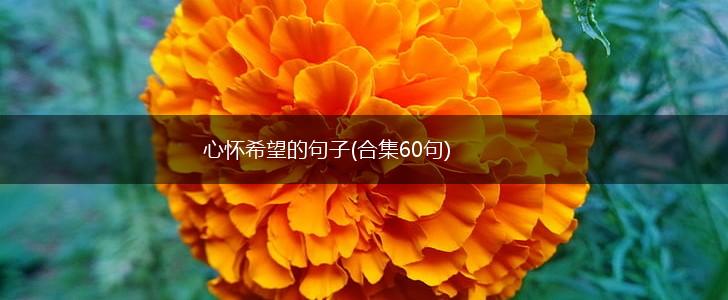心怀希望的句子(合集60句),第1张