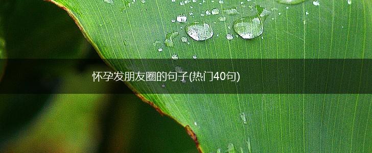 怀孕发朋友圈的句子(热门40句),第1张