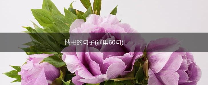 情书的句子(通用60句),第1张