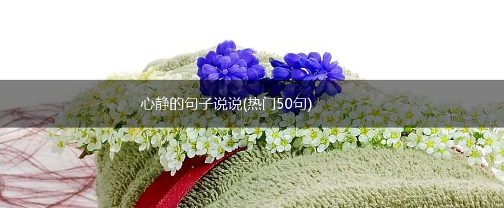 心静的句子说说(热门50句),第1张