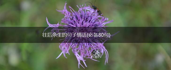 往后余生的句子情话(必备80句),第1张