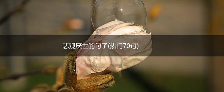 悲观厌世的句子(热门70句),第1张