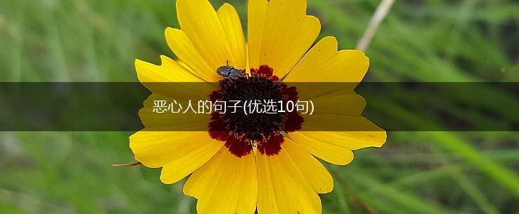恶心人的句子(优选10句),第1张