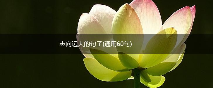 志向远大的句子(通用60句),第1张