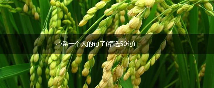 心系一个人的句子(精选50句),第1张
