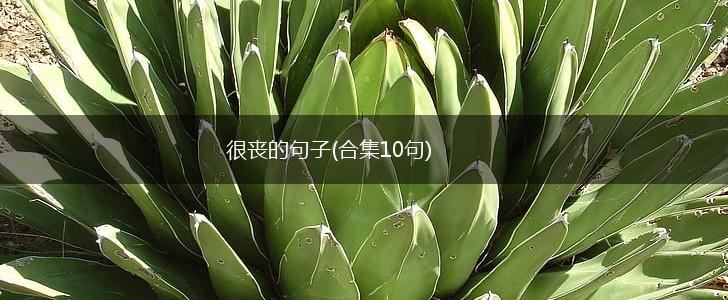 很丧的句子(合集10句),第1张