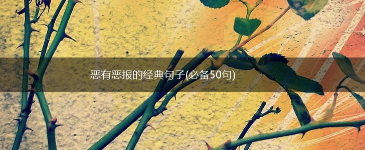 恶有恶报的经典句子(必备50句),第1张