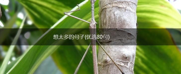 想太多的句子(优选80句),第1张