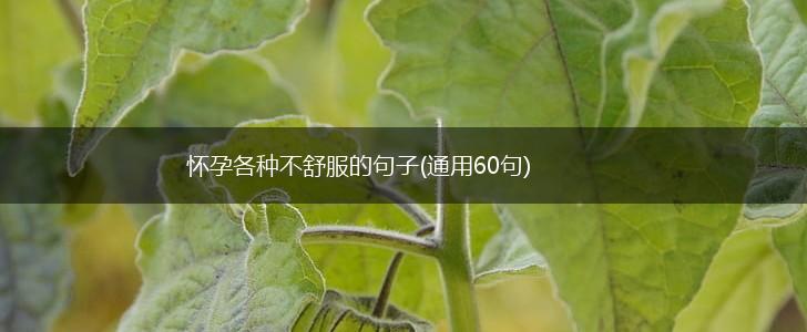 怀孕各种不舒服的句子(通用60句),第1张