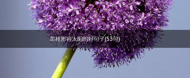 怎样形容太阳的好句子(53句),第1张