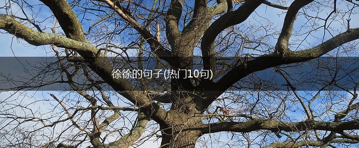徐徐的句子(热门10句),第1张