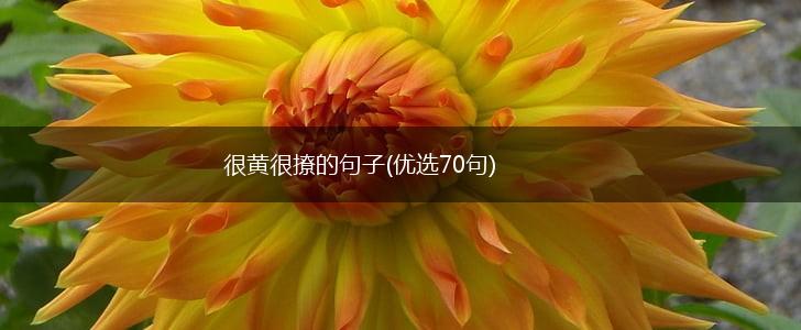 很黄很撩的句子(优选70句),第1张