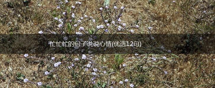 忙忙忙的句子说说心情(优选12句),第1张