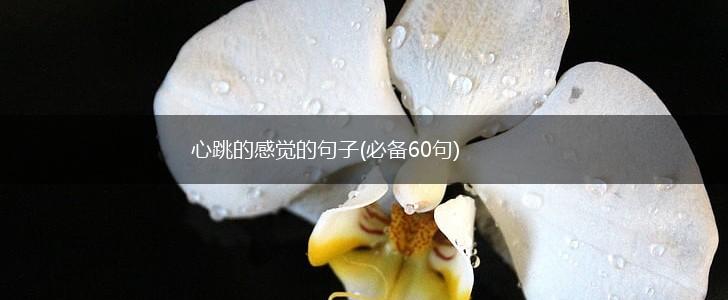 心跳的感觉的句子(必备60句),第1张