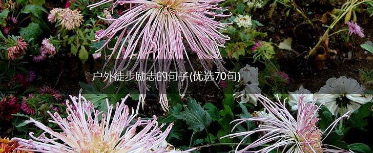 户外徒步励志的句子(优选70句),第1张