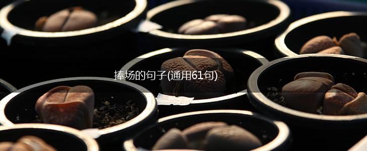 捧场的句子(通用61句),第1张