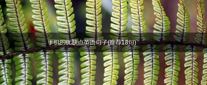 手机的优缺点英语句子(推荐18句),第1张