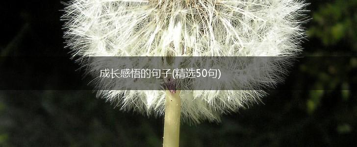 成长感悟的句子(精选50句),第1张
