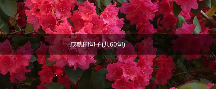 成就的句子(共60句),第1张