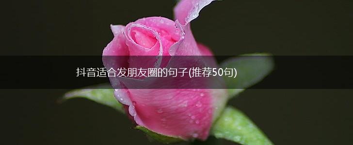 抖音适合发朋友圈的句子(推荐50句),第1张