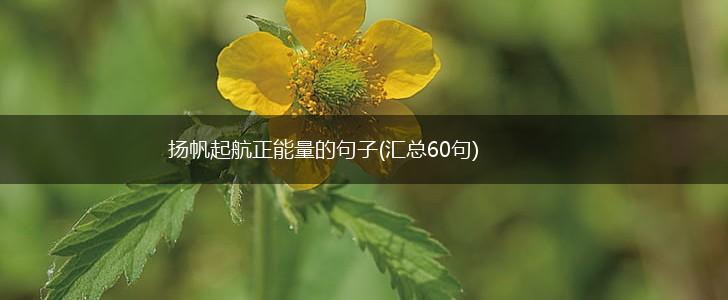 扬帆起航正能量的句子(汇总60句),第1张