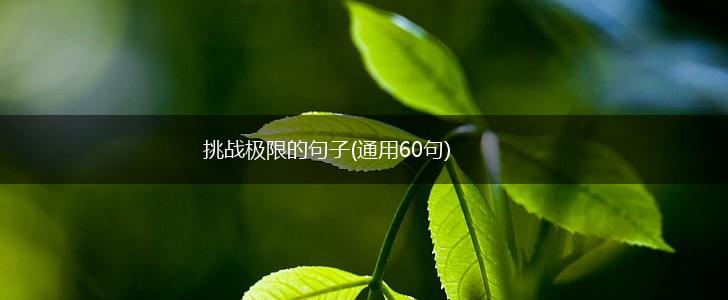 挑战极限的句子(通用60句),第1张