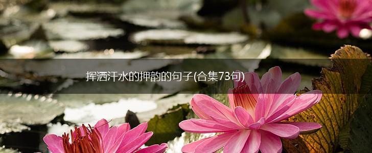 挥洒汗水的押韵的句子(合集73句),第1张