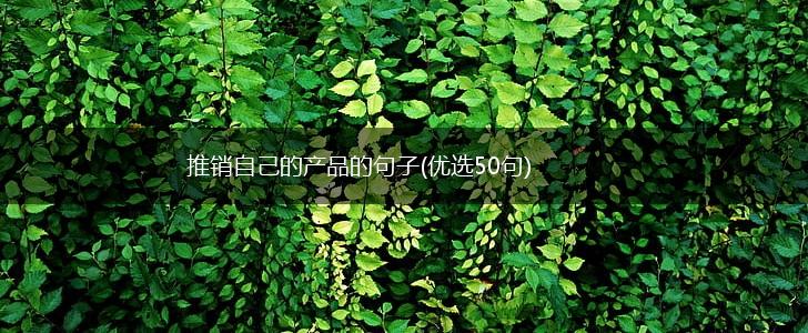 推销自己的产品的句子(优选50句),第1张
