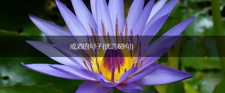 戒酒的句子(优选69句),第1张