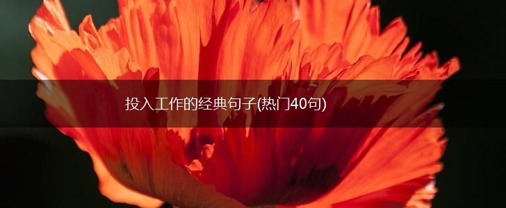 投入工作的经典句子(热门40句),第1张