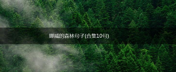 挪威的森林句子(合集10句),第1张